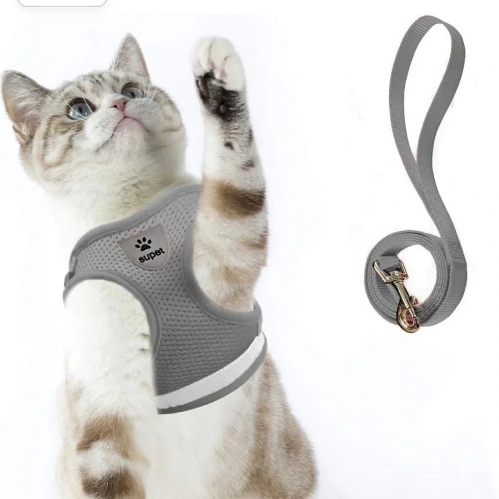 Rabbitgoo and Supet bundle! Small Cat and Dog harness set